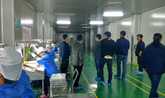 同路生物制藥來(lái)我廠審計(jì)